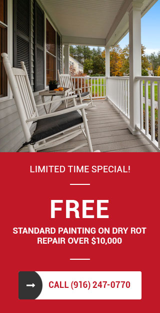 Free standard painting on dry rot repair over $10,000