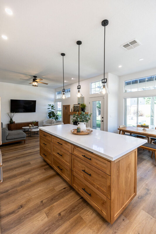 Kitchen & Living Room Remodel